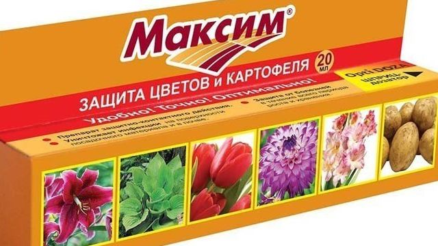 Инструкция по применению препарата Максим