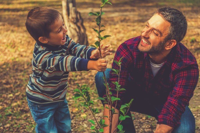 Отец и сын сажают дерево
