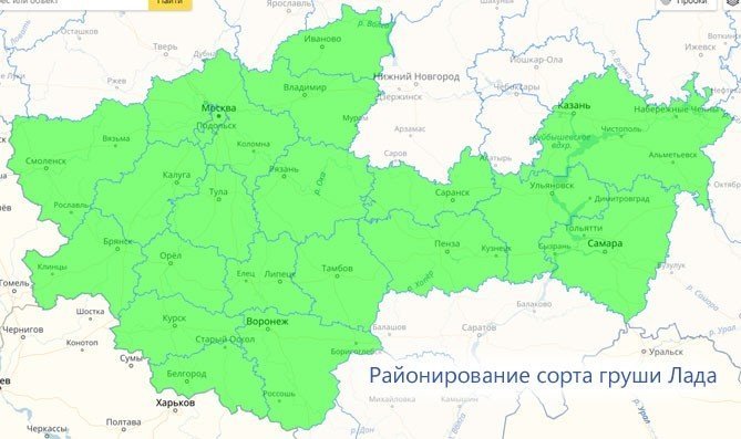 Карта с регионами