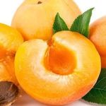 Сорта абрикоса: уход за абрикосом, выращивание в средней полосе