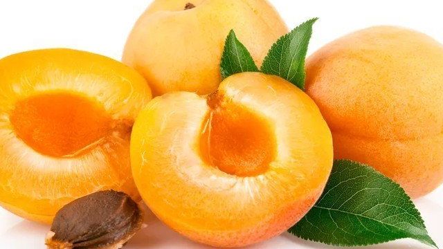 Сорта абрикоса: уход за абрикосом, выращивание в средней полосе