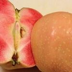 Особенности выращивания и ухода за яблоней сорта Розовый жемчуг