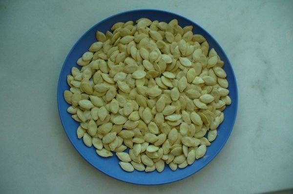 Семена кабачков