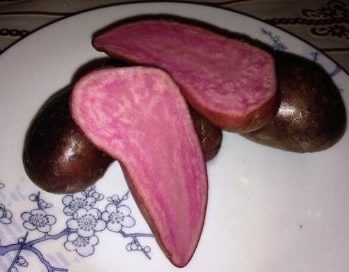 Картофель с розовой мякотью