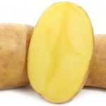 Картофель Лилея: характеристика и особенности выращивания сорта