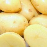 Картофель сорта Латона: фото и описание, урожайность, выращивание