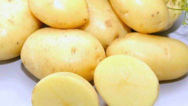 Картофель Латона: описание сорта, характеристика, урожайность, фото, отзывы