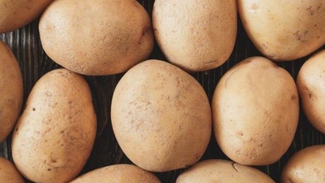Описание и особенности выращивания картофеля Молли