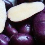 Сорт картофеля Цыганка: ботаническое описание, агротехника выращивания и ухода