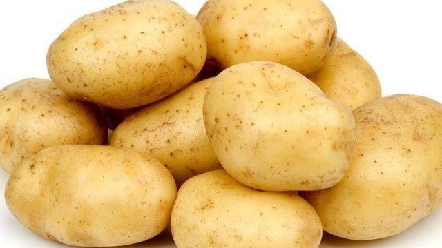Сорт картофеля Молли: описание, особенности ухода, отзывы