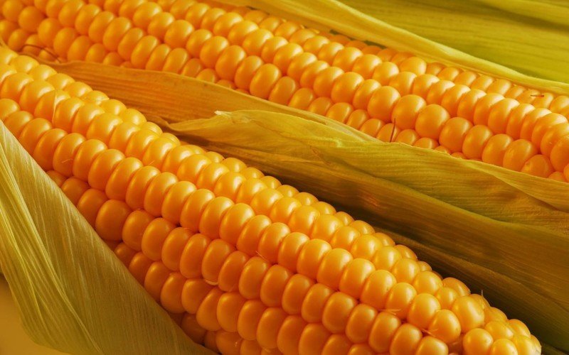 Очищенный початок кукурузы