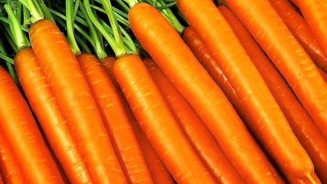 Морковь Лосиноостровская