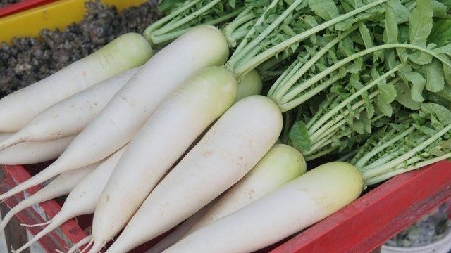 Выращивание белой моркови