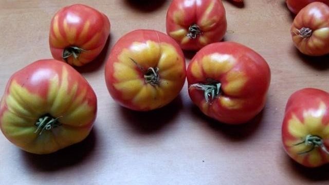 Красные снаружи, белые внутри – почему помидоры такие? Что делать