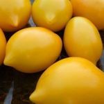 Сорт Чудо света: описание томатов оригинального вида