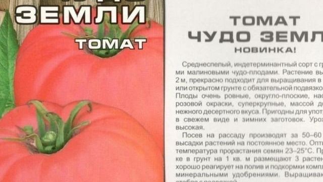Сорт томатов Чудо земли — описание и характеристика, фото