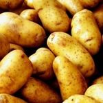 Фомоз картофеля (пуговичная гниль)