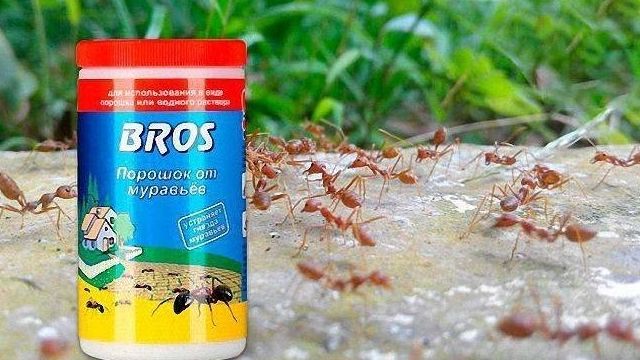 Средство Брос от муравьев