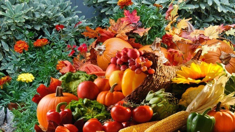 Осень пора сбора урожая и окончания