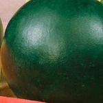 Характеристики и описание арбуза сорта Огонек, выращивание в открытом грунте