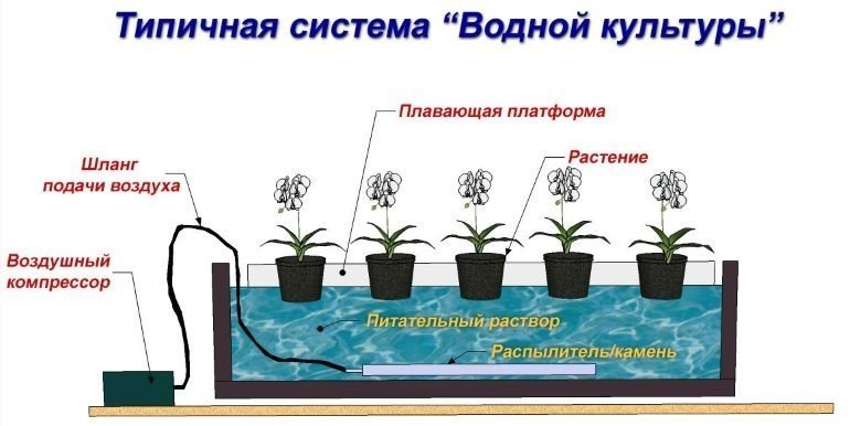 Гидропонная система метод погружение растения