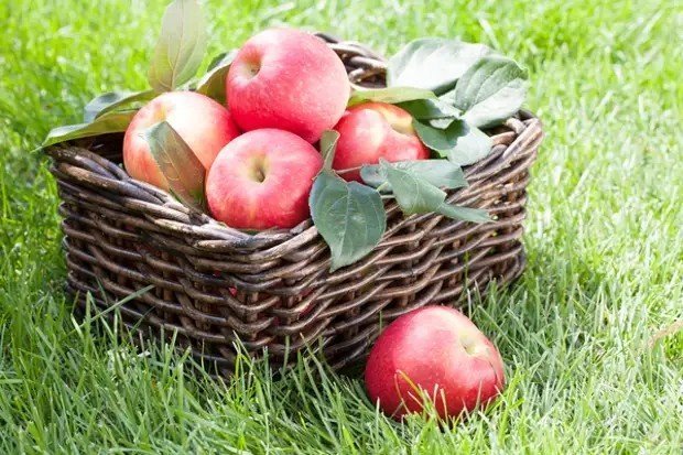 Фотообои яблоки в карзине