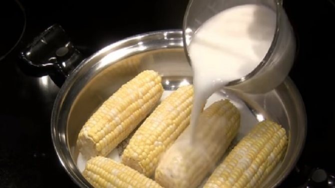 Кукуруза вареная в молоке
