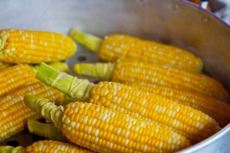 Как варить кукурузу в кастрюле