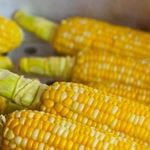 Как варить кукурузу в початках в кастрюле? Рецепты мягкой и сочной кукурузы