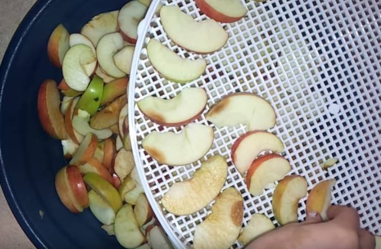 Нарезка яблок для сушки в электросушилке