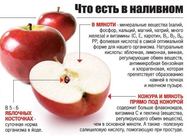 Яблоки польза для организма