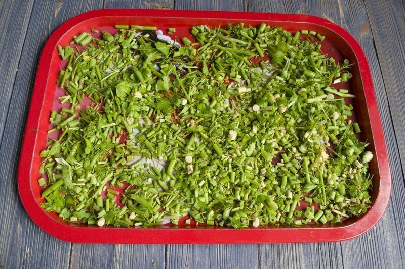 Микрозелень кресс салат вид сверху