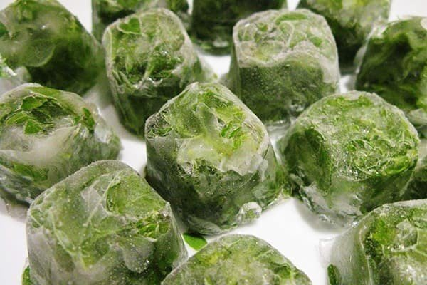 Кубики льда из зеленого чая