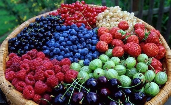 Самые полезные ягоды